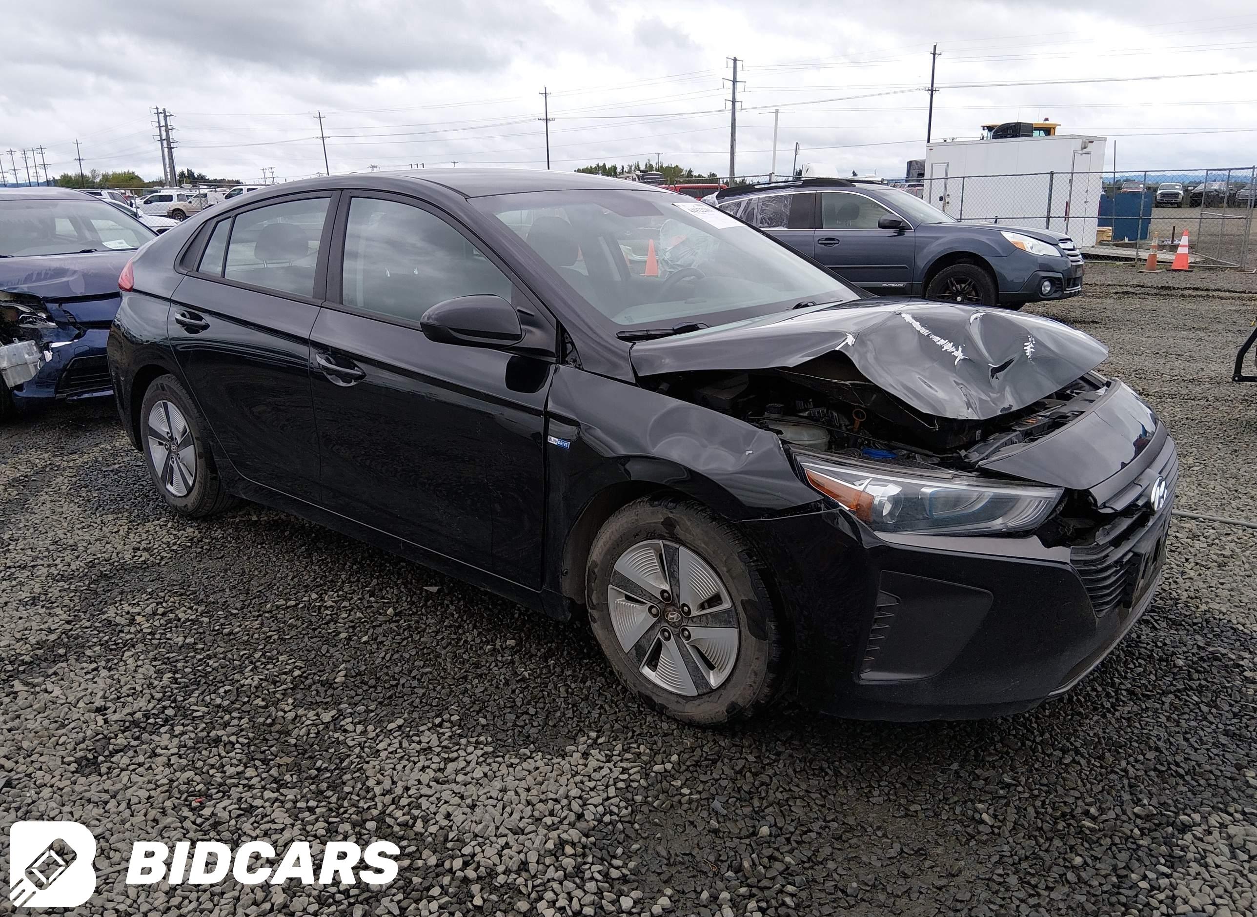 ムチャブリ 2019 Hyundai Ioniq, Hybrid Blue | KMHC65LC3KU167457 | BidCars